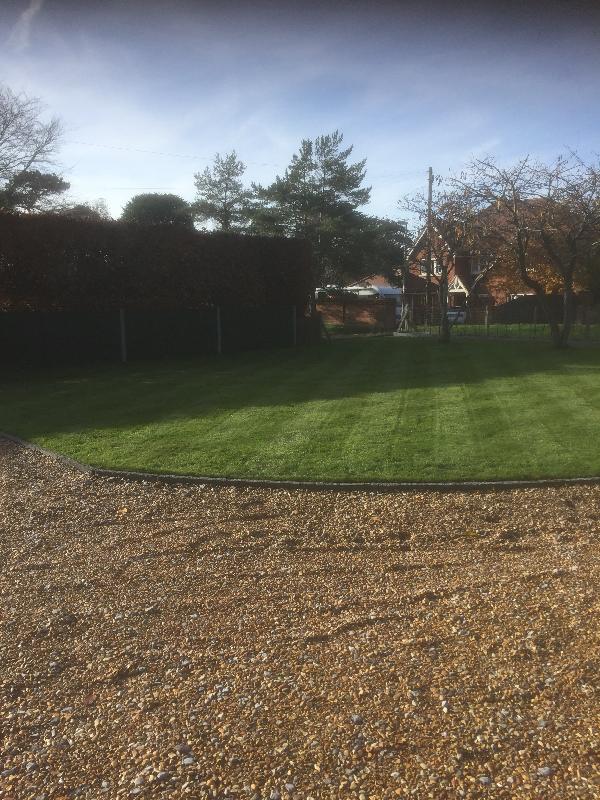Good honest service, great mower