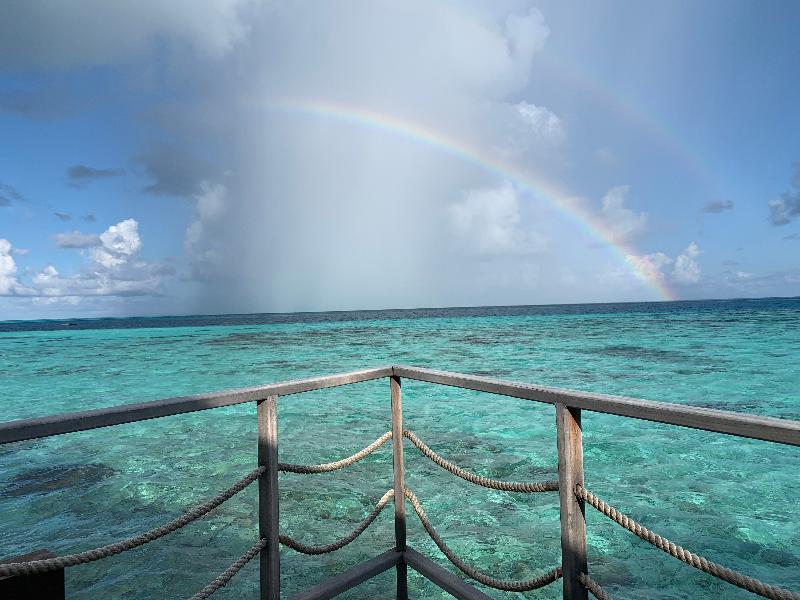 Amazing honey moon!