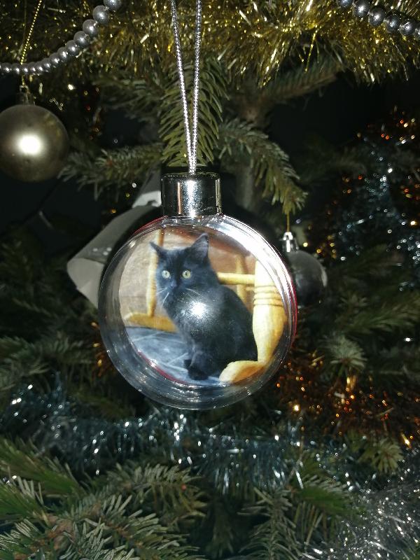 Beautiful bauble