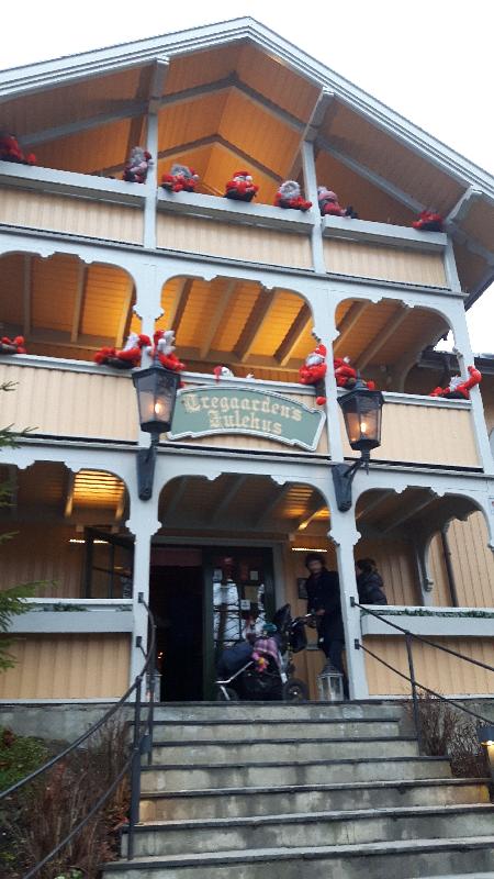 Cruise for Christmas you can't go wrong