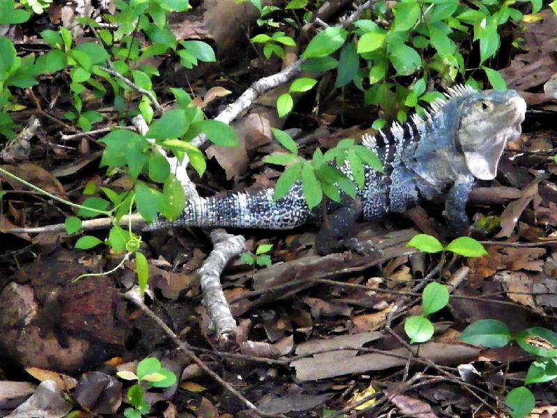 Wildlife, Adventure and Comfort