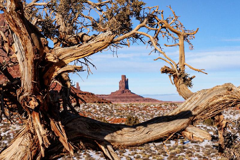 Tra citta' iconiche e meraviglie naturali del far west americano