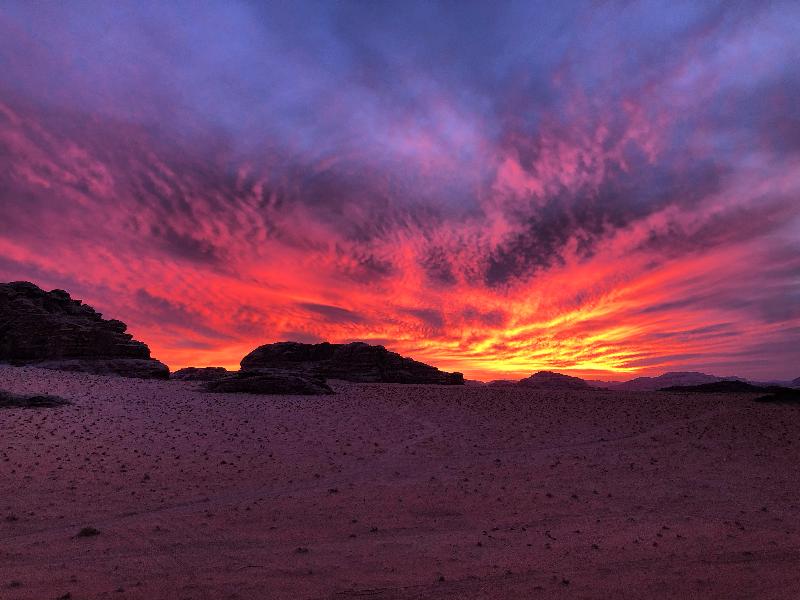 Vivrei nel deserto