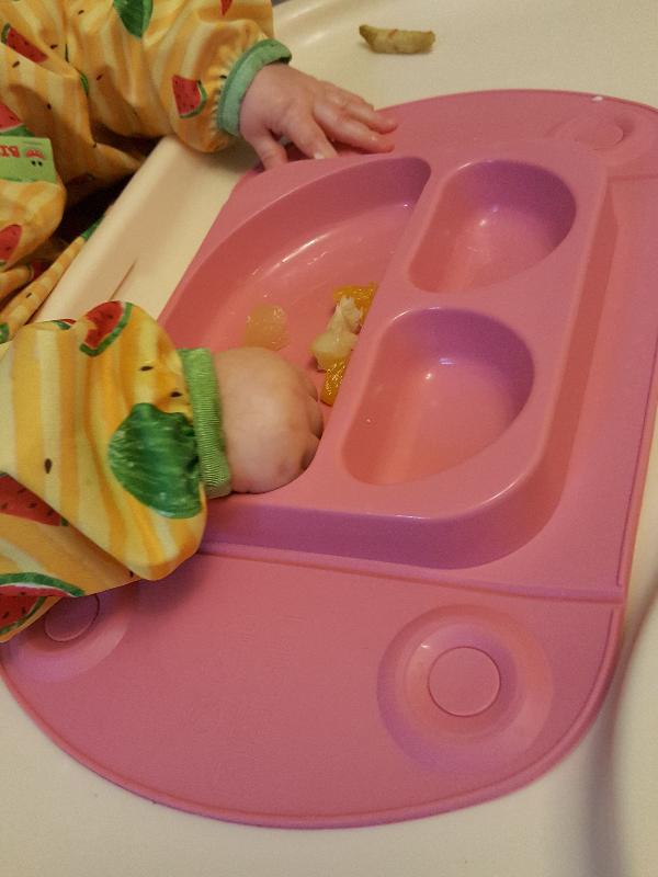 Suction plate which actually stays in place!