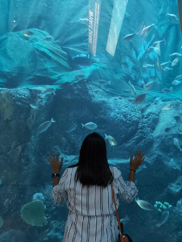 Dubai Aquarium And Underwater Zoo