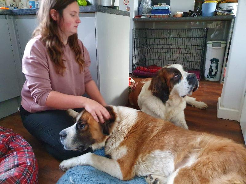Unwanted strays helped by feefo delivering weebox