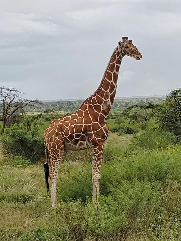 Collette Tours best African SAFARI Tour Ever!