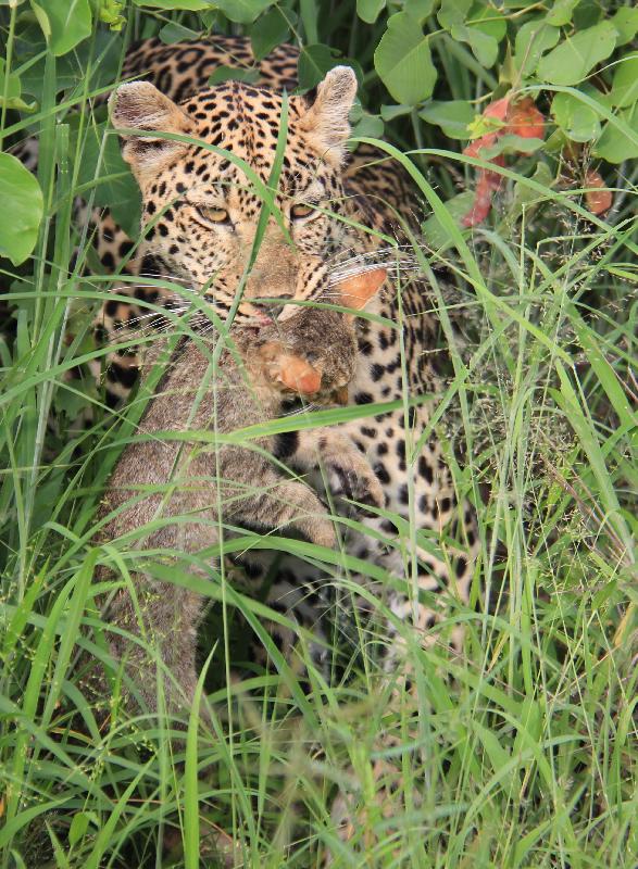 Timbuktu are safari enthusiasts, expert consultants - not sales people!!!