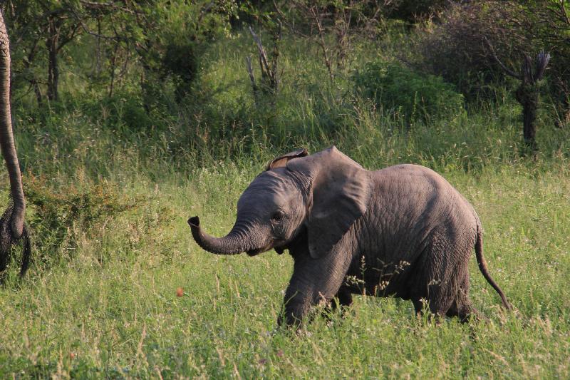 Timbuktu are safari enthusiasts, expert consultants - not sales people!!!