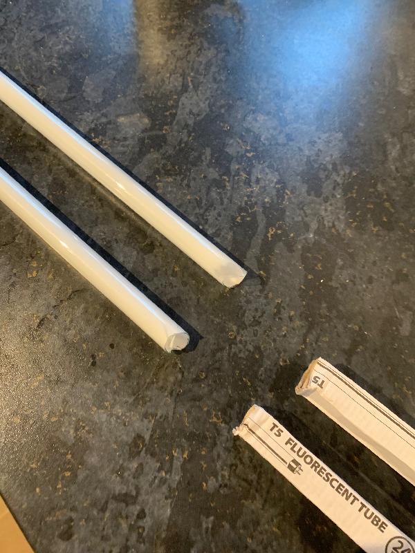 Bulbs arrived damaged