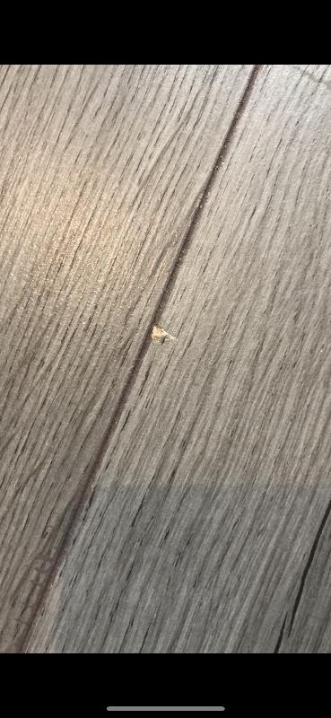 Flooring one day and already has chipped 3 times