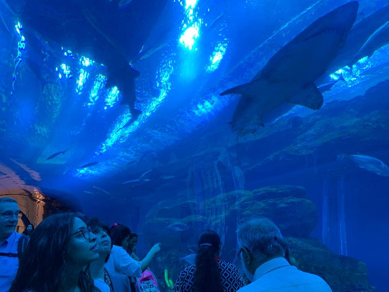 Dubai Aquarium And Underwater Zoo