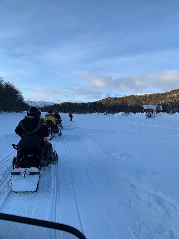 In search (and finding) northern lights February March 2020