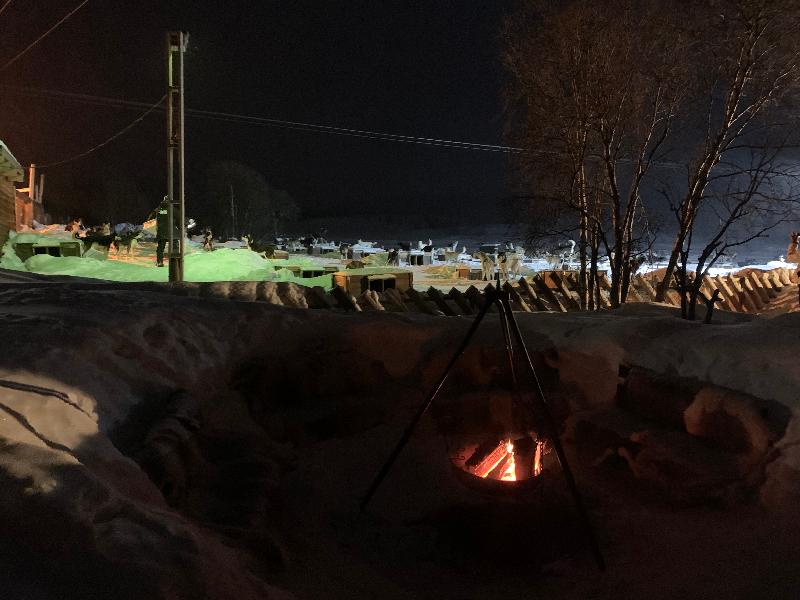 In search (and finding) northern lights February March 2020