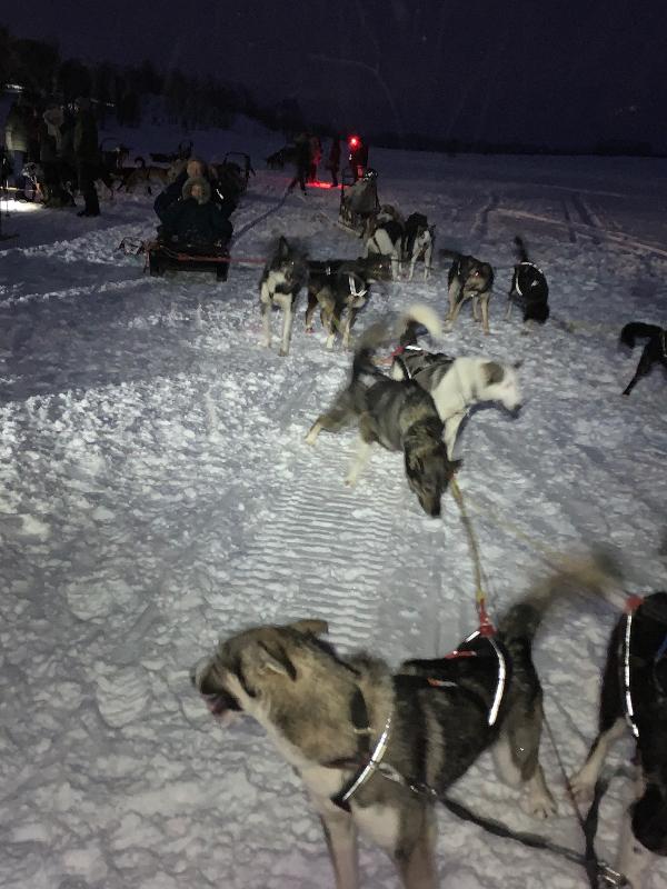 In search (and finding) northern lights February March 2020