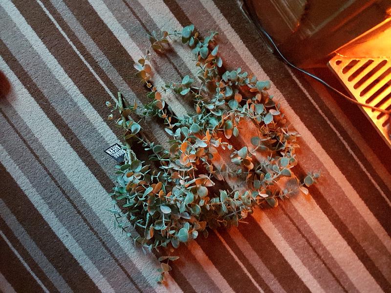 Never again