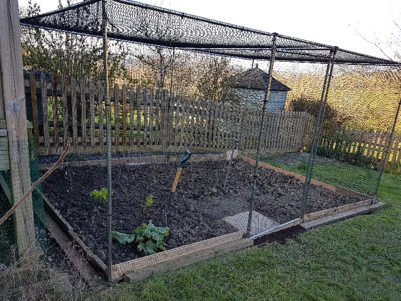 Fruit cage
