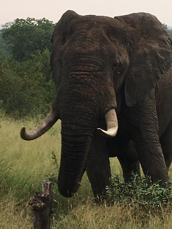 Fabulous holiday, expertly planned. Cape Town/Umkumbe Safari/Victoria Falls