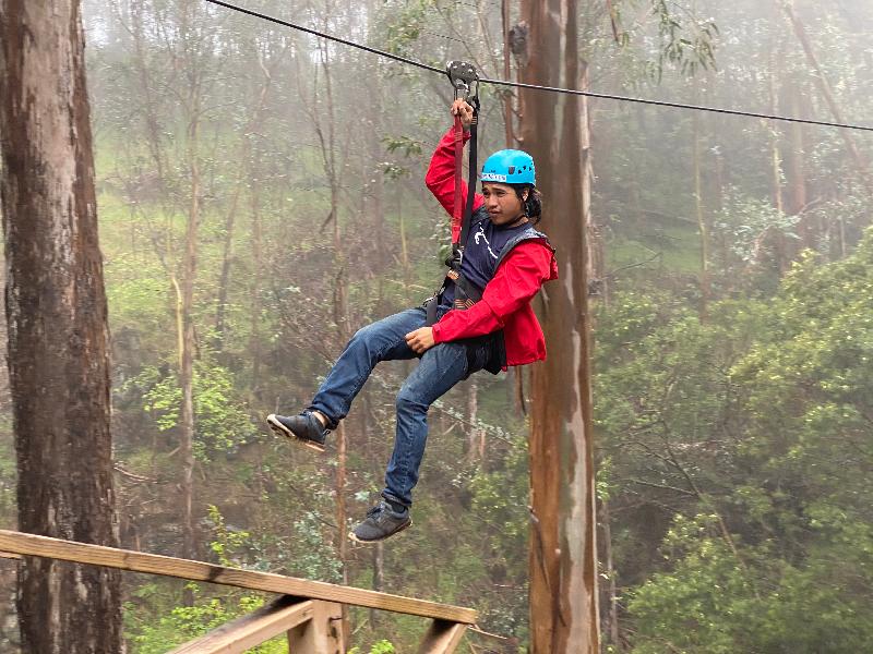 Fun in the fog!