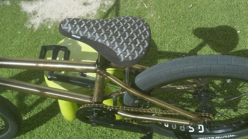 Best BMX shop