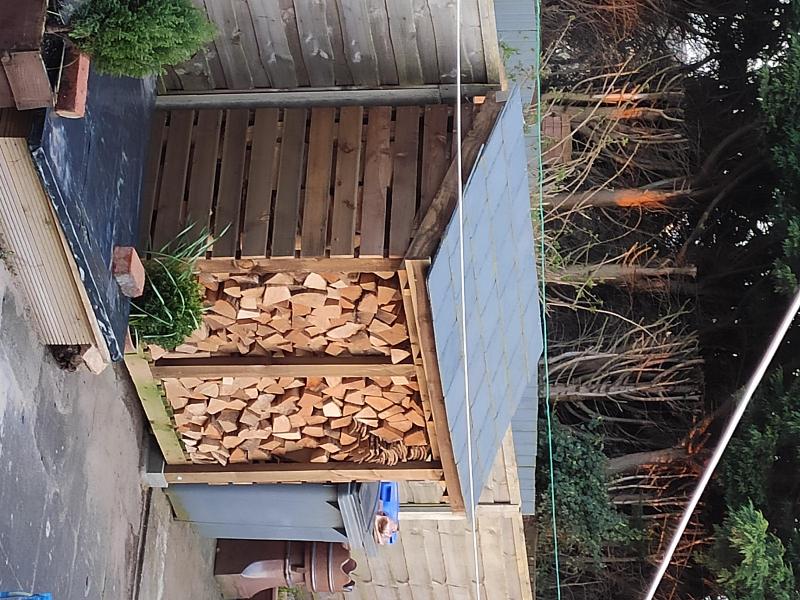 Big create of kiln dry ash logs