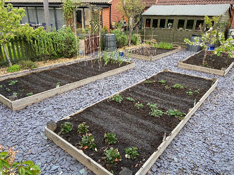 Excellent soul for my vegetable garden. Top quality. Very happy customer.