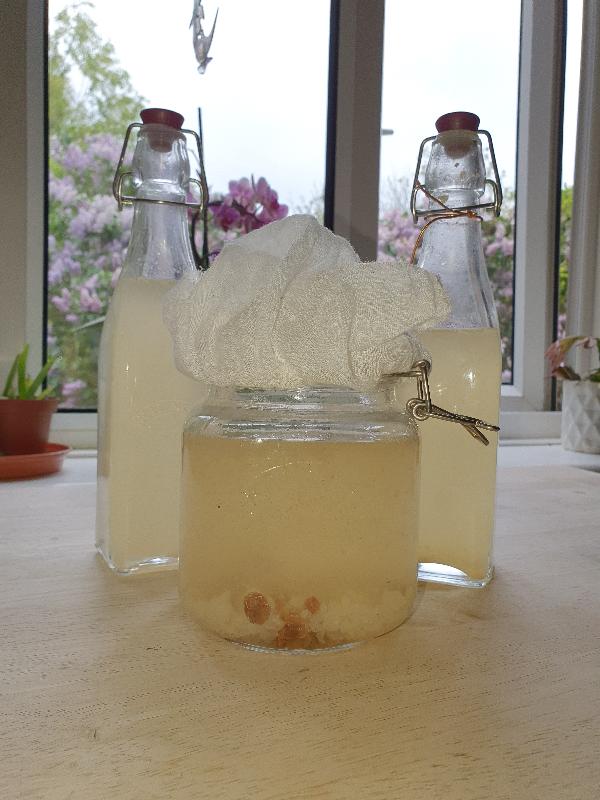 We're loving the water kefir!