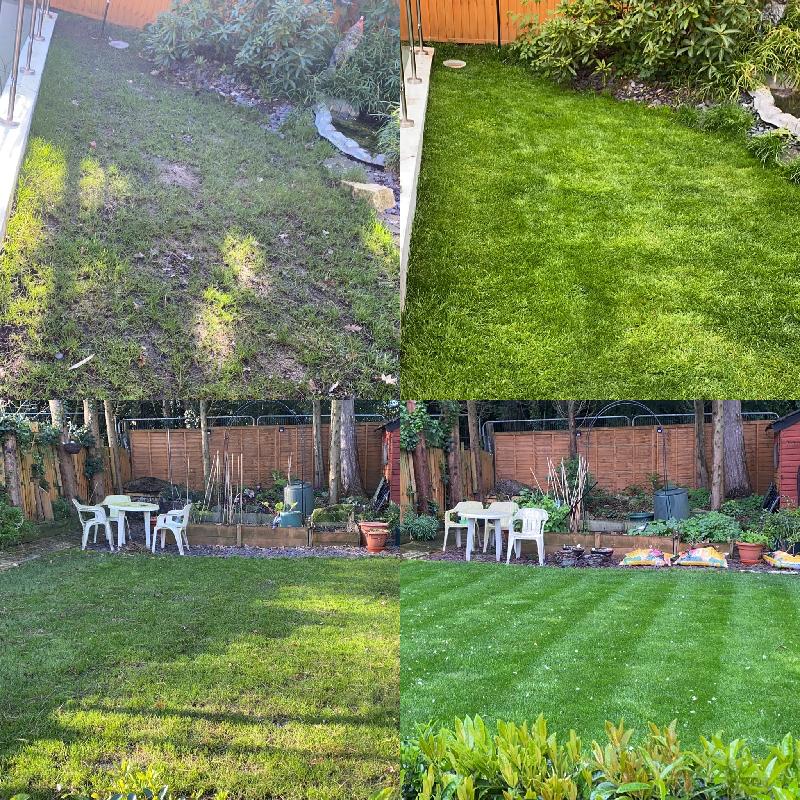 Best lawn ever and great value for money
