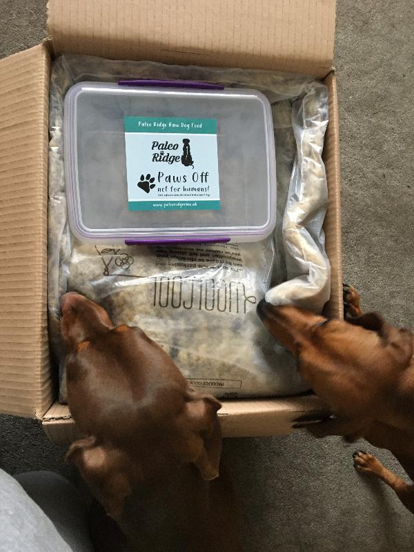 Best food my dogs have ever eaten!