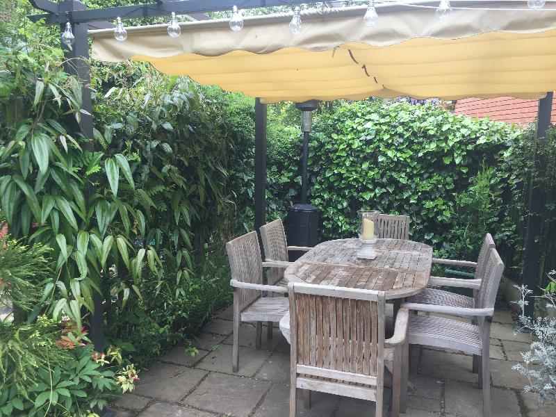 Problem solving pergola