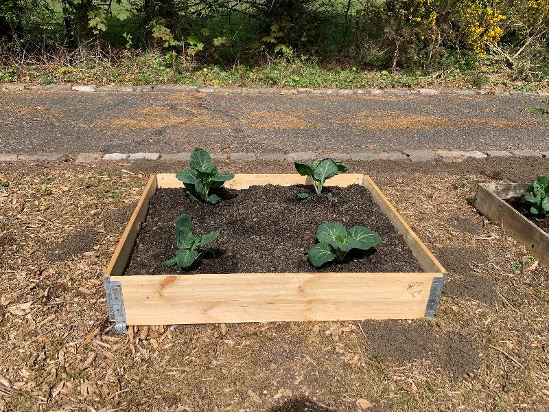 Excellent raised planters and soil.