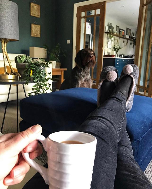 What are you waiting for, you need a snug sofa!
