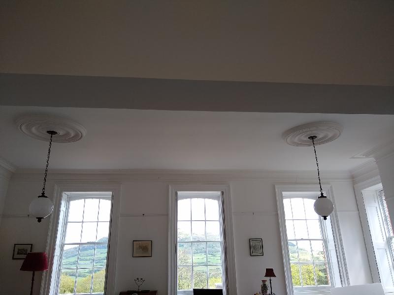 Great ceiling roses