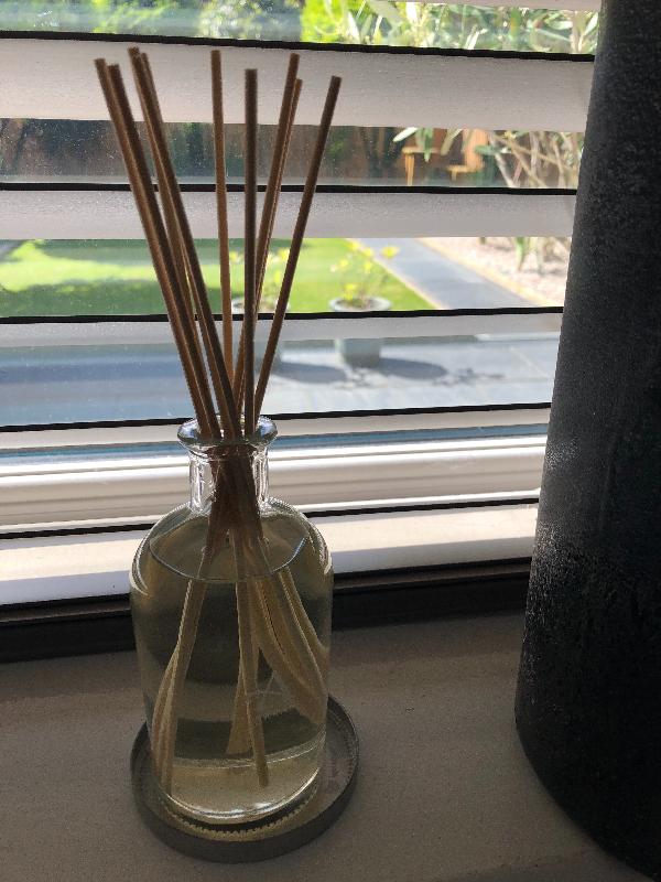 Jasmine and Philadelphus diffuser absolutely stunning fragrance