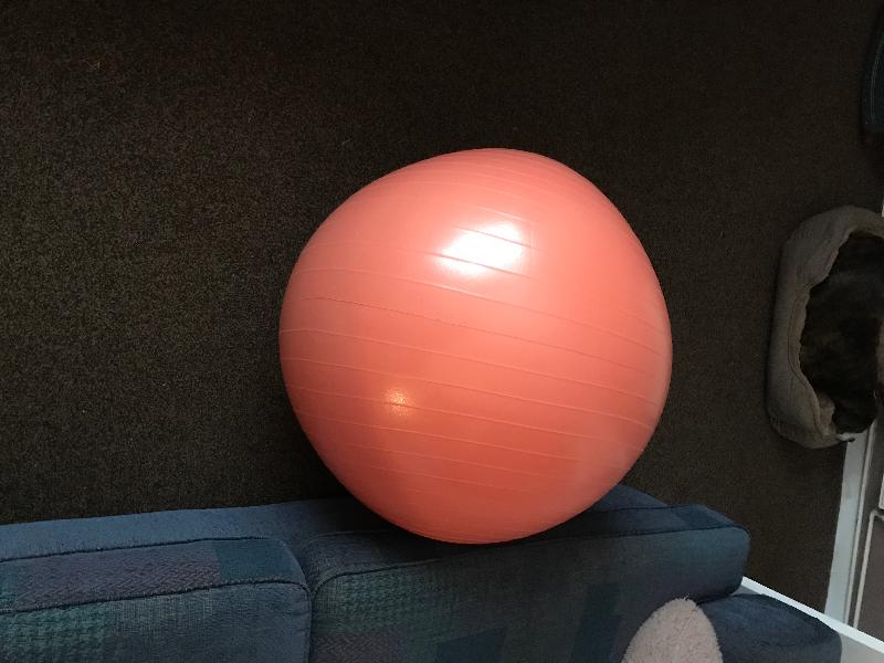 I’m feeling so much better since they have arrivedDoing my daily exercise