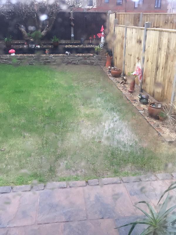 From flood back to lawn