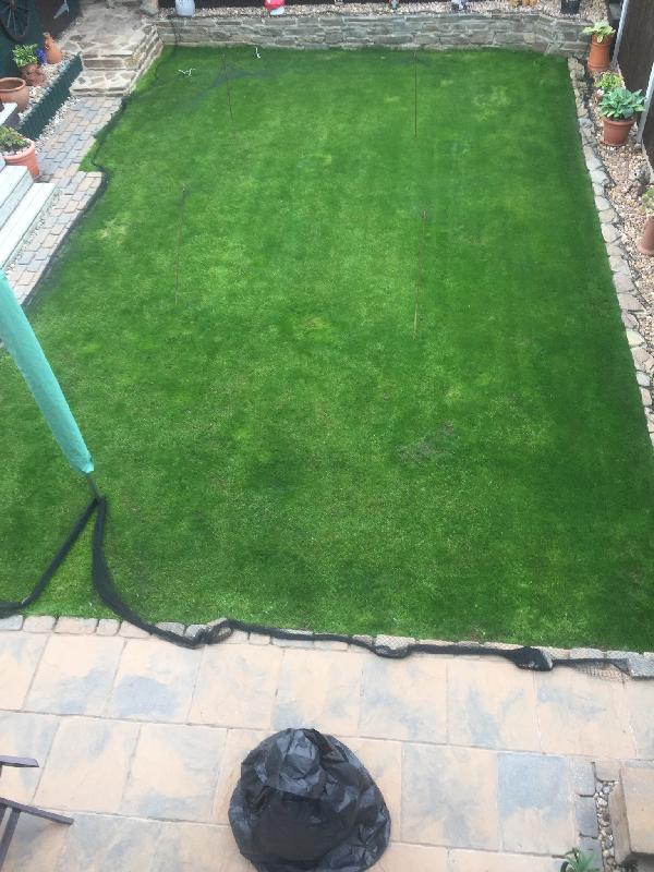 From flood back to lawn