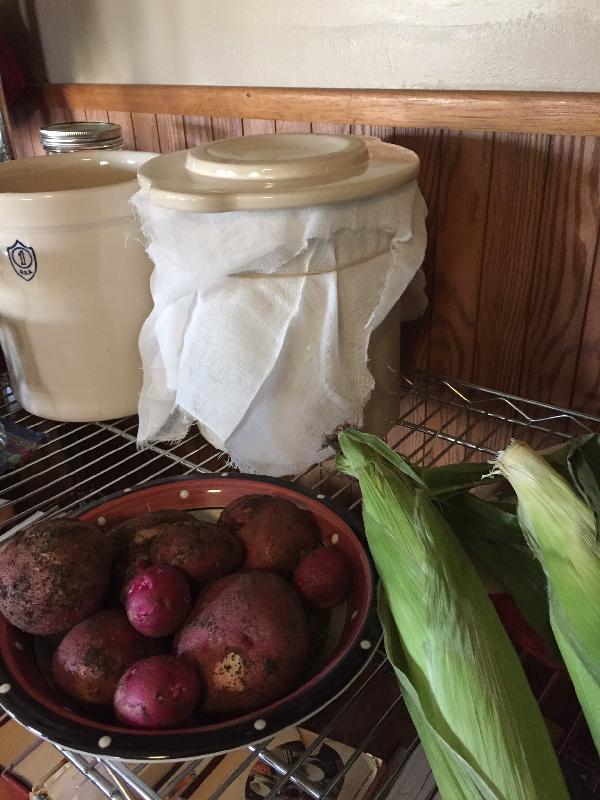 Favorite Farm To Order Seed Potatoes From!