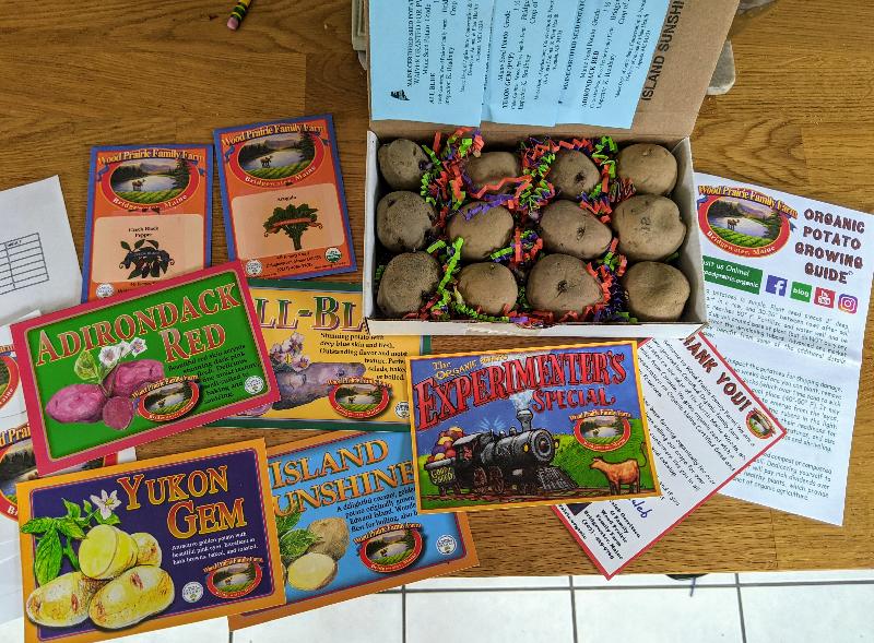Love my little Potato Party in a box!