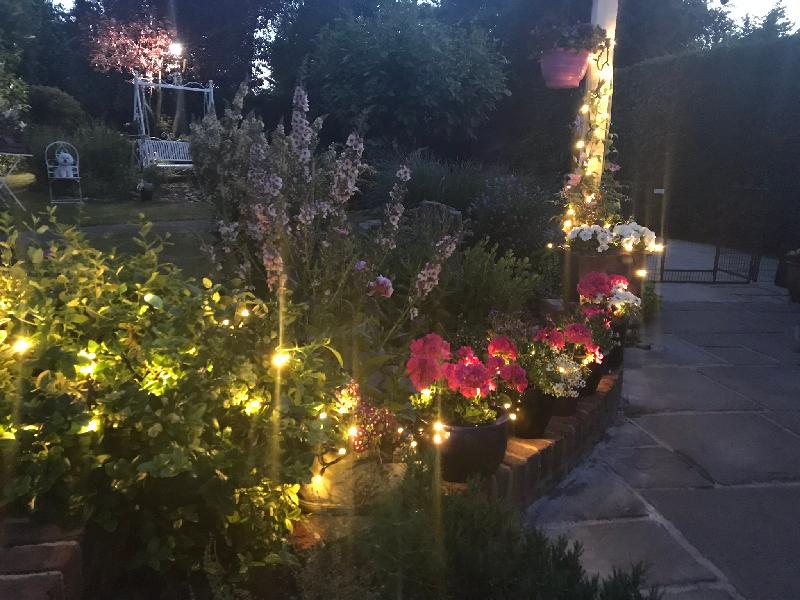Super quality lights