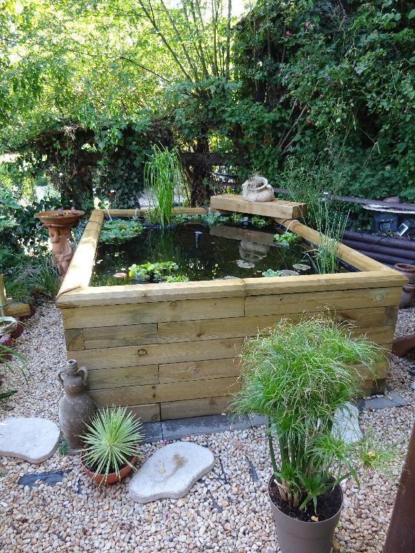 Ganz toller Gartenteich!