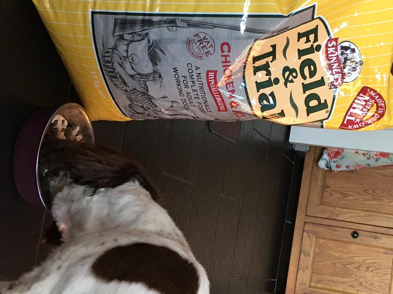 Good service quick delivery and my dogs love the food.:. Win win ...