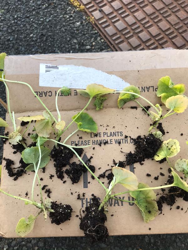Awful experience, will never purchase from here ever again!!