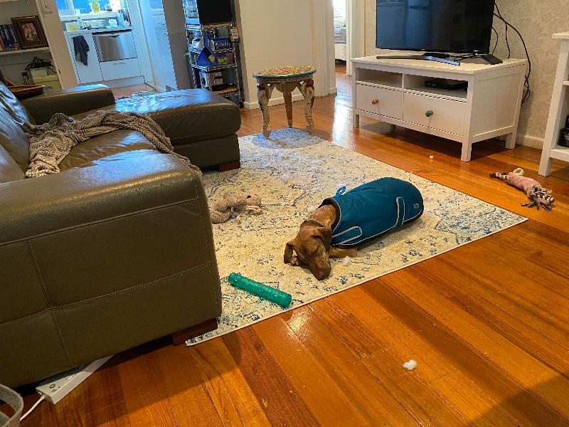 Beautiful rug and virtual pic matched real life!