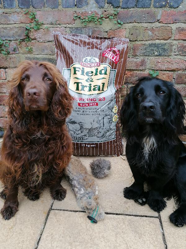 Excellent service and excellent product 🐾🐾