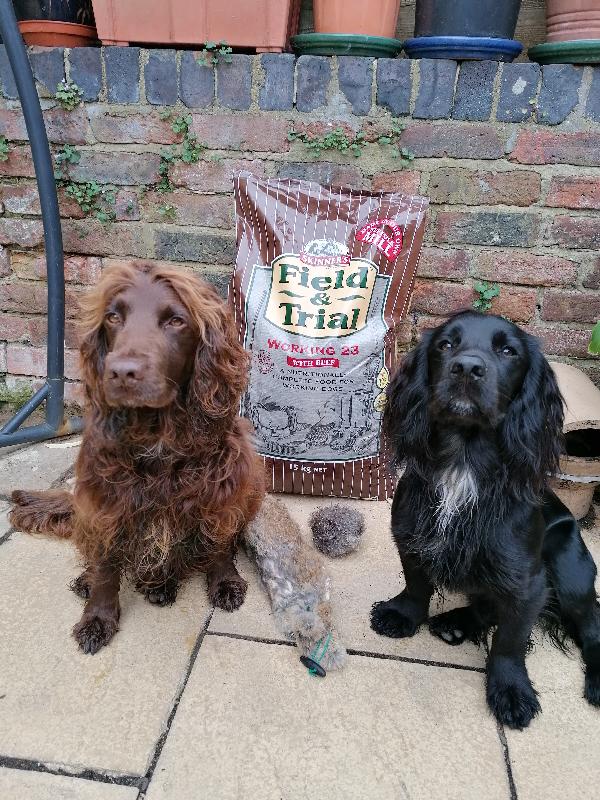 Excellent service and excellent product 🐾🐾