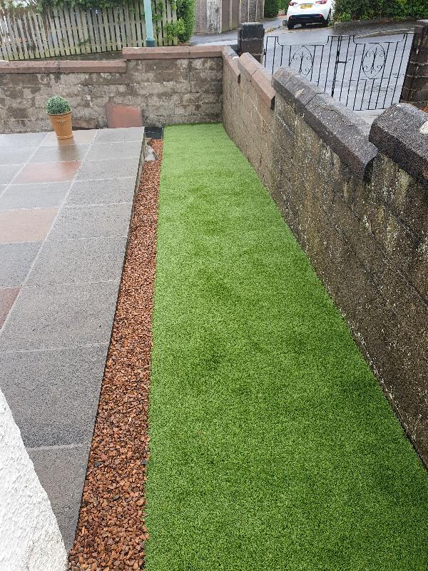 Perfect grass quicker than express delivery from amazon