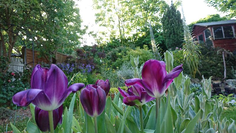 A wide range of varieties and reasonable price
