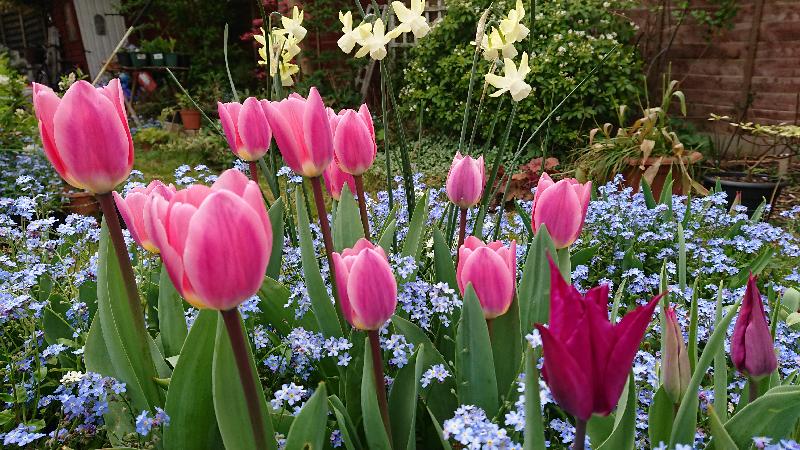 A wide range of varieties and reasonable price