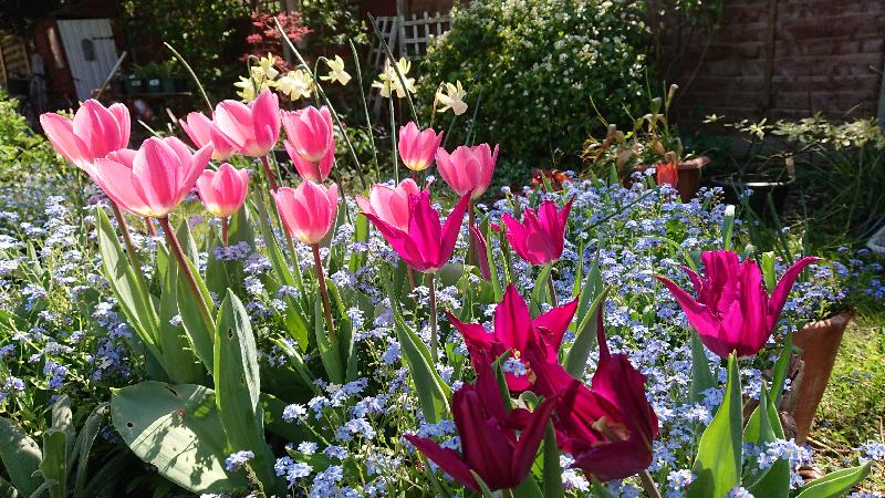 A wide range of varieties and reasonable price